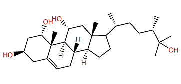 Patusterol B